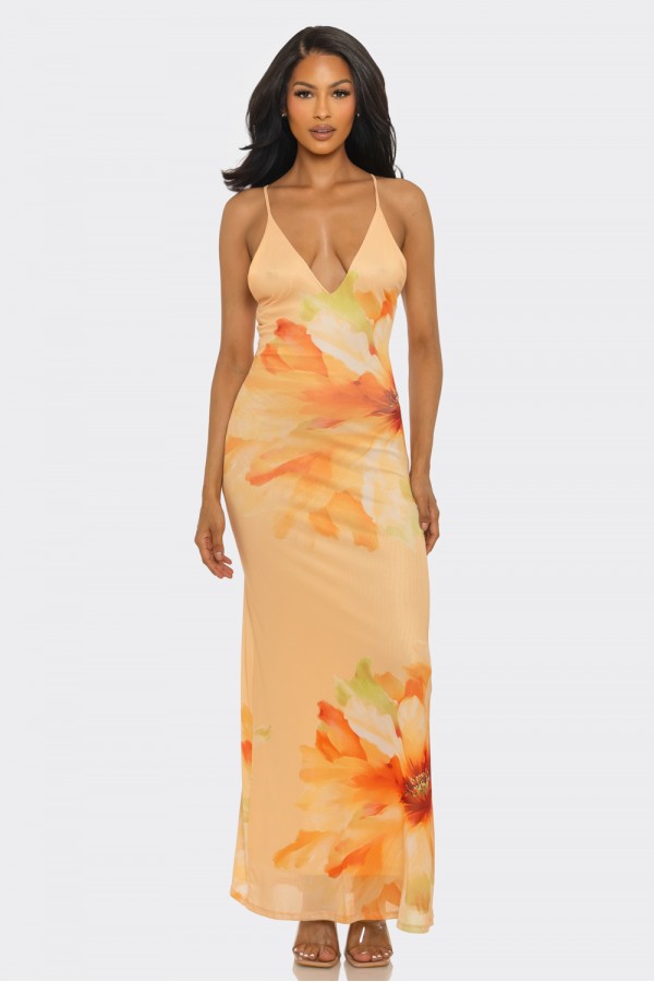 SHD3857 / Spring Haze<br/>Big flower mesh maxi dress